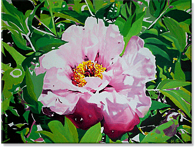 Blumenbild